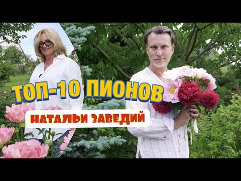 Видео: ТОП-10 раннецветущих пионов; травянистые, молочноцветковые, межвидовые гибриды