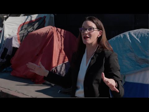 Видео: Отчет о фальсификации данных о бездомных в Лос-Анджелесе: эксперты говорят, что это мошенничество