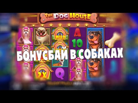 Видео: БОНУС БАЙ В СОБАКАХ | СТАРЫЙ ДОБРЫЙ THE DOG HOUSE ДАСТ ЛИ ТЫЩУ ИКС!?!