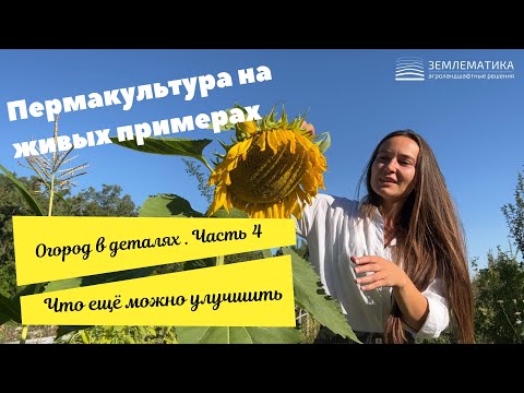 Видео: Пермакультурный огород в засушливом климате.