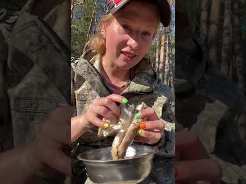 Видео: Мукбанг: уха на природе