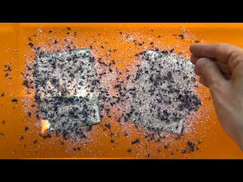 Видео: Установи себе ЗАЩИТУ за 5 минут - просто смотри 🙏 ЧИСТКАЧИСТИМ АУРУ ✨СНИМАЕМ ПОРЧУ, СГЛАЗ, ПРОКЛЯТИЕ