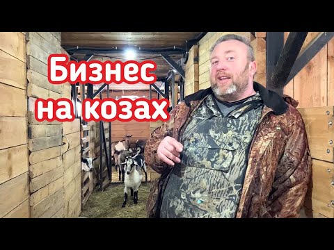 Видео: Можно ли заработать на сельском хозяйстве? Серия вторая - козы.