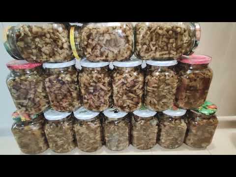 Видео: ЛЕГКО, ПРОСТО и ВКУСНО //маринованные опята //