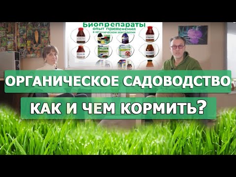 Видео: Питание растений без применения химии!