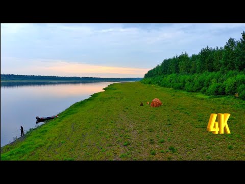 Видео: В ПОИСКАХ ТРОФЕЕВ 2 ЧАСТЬ.