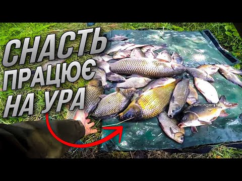 Видео: ПЕРЕЛОВ В 4 раза лише за пів дня, Рибалка для душі, Амур, Сазан, Карась все клювало на нашу снасть