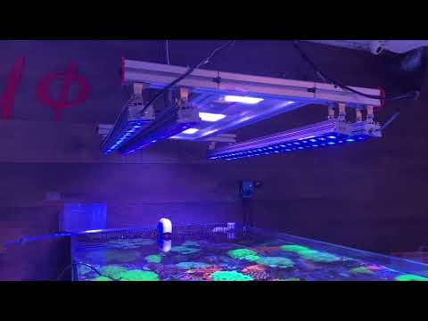 Видео: Правильный свет (часть 5)