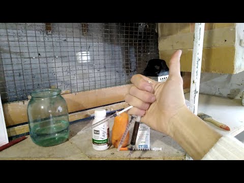 Видео: С чего начинать содержания канареек ,попугаев и амадин .