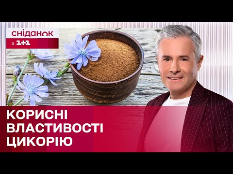 Видео: Напій з цикорію: чим корисний і кому можна вживати? | Знаю – споживаю