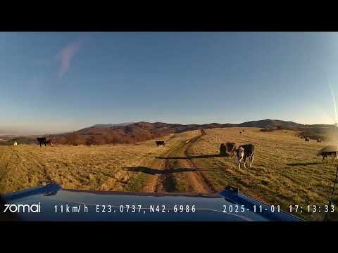 Видео: От връх Форта до вилна зона Габер, Small trip in the outskirts of Sofia, Lyulin mountain, 1.11.2025