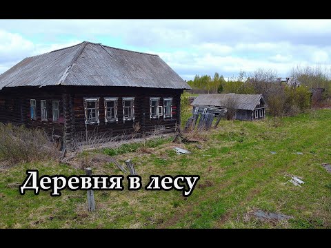 Видео: Тут огромное количество раритета! Заброшенная деревня Большое Матвуево, Кировская область.