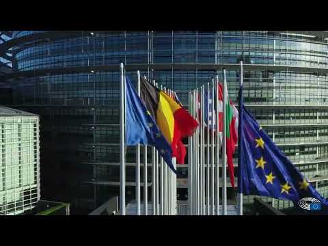 Видео: Стразбур пресуди во корист на разрешени македонски судии