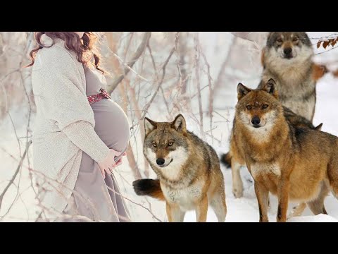 Видео: Стая хищников окружила беременную девушку в темном лесу. Маме с малышом могло помочь только чудо