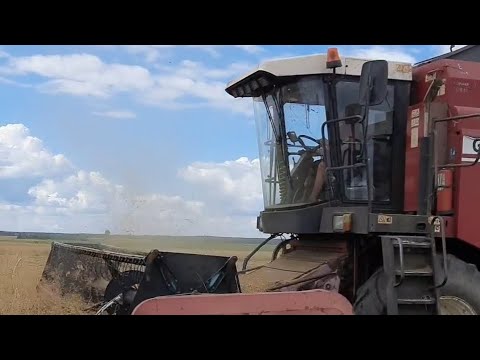 Видео: Полесье GS12 / уборка зерновых 2025