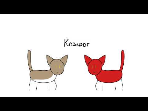 Видео: Коты-воители и их знаки зодиака #2