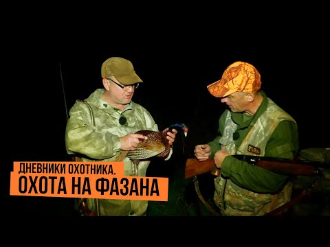 Видео: Охота на фазана \ Дневники охотника