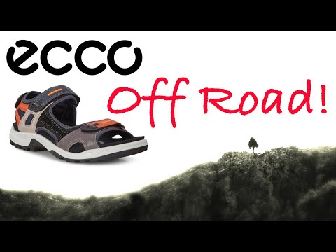 Видео: Сандалии ⚪️Ecco 🩴Off Road Pro обувь с @foveonyc