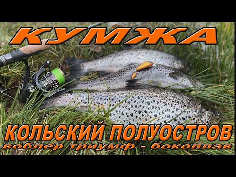 Видео: Воблер ТРИУМФ БОКОПЛАВ -  КУМЖА Кольский полуостров.