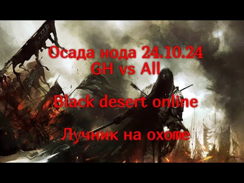 Видео: Лучник. Осада нода 23.10.24 Black desert online