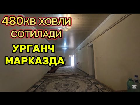 Видео: 480кв ХОВЛИ ЖОЙ Ш.МАРКАЗИДА #сотилади 993338838 #xorazm #uyjoy #2025 #shorts #arzonuylar 