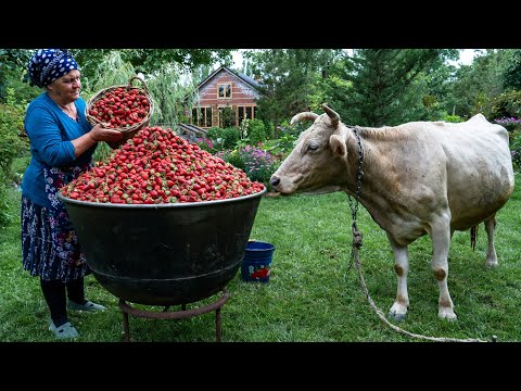 Видео: 🍓🍊 Рецепт домашнего клубнично-апельсинового варенья