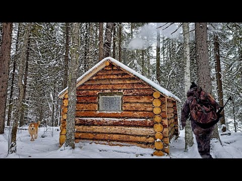 Видео: ОХОТА В ТАЙГЕ, ДОБЫЛ 2 ЗАЙЦЕВ С ПОДХОДА! ПОХОД ДО ИЗБЫ, ПОТЕРЯЛ СОБАКУ.