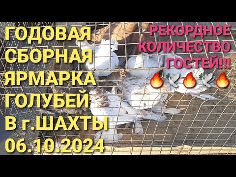 Видео: 🔥🔥🔥 Годовая сборная ярмарка голубей в г.Шахты 06.10.24. Рекордное количество гостей. Bird Market.🕊🕊🕊