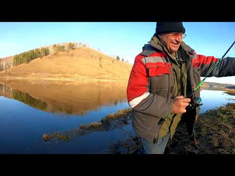 Видео: Микроджиг сделал эту рыбалку  Хороший окунь один за одним  Залив Огур КВХ