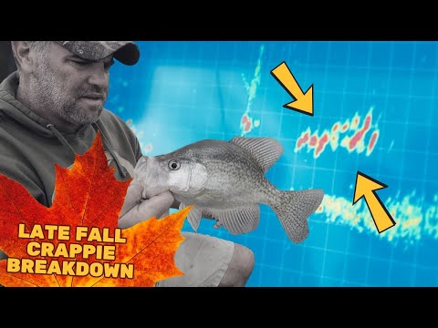 Видео: Ловля краппи поздней осенью на озере Хай-Рок: разбор на воде с Крисом Хэммиллом (более 50 рыбных ...