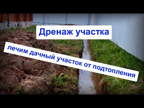 Видео: Часть 1. Дренаж участка.