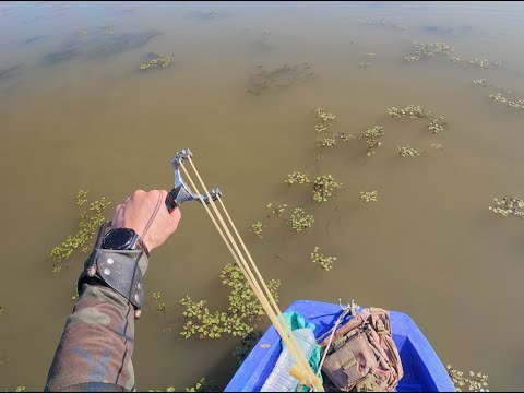 Видео: Такой охоты у меня еще не было