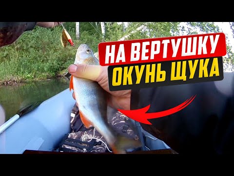 Видео: Щука и окунь на вертушку Mepps, первая охота на хищника!