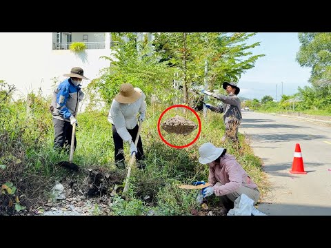 Видео: Опасность на покрытом травой и деревьями тротуаре между двумя красивыми домами