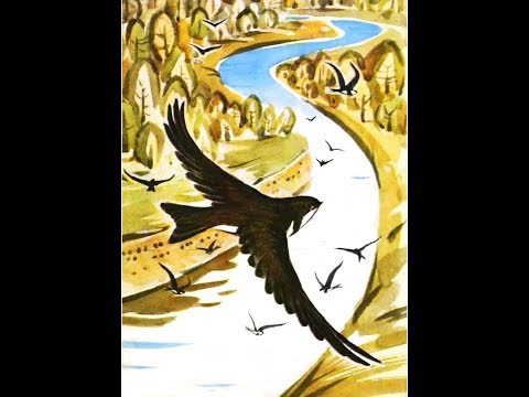 Видео: Стрижонок Скрип. В.П. Астафьев