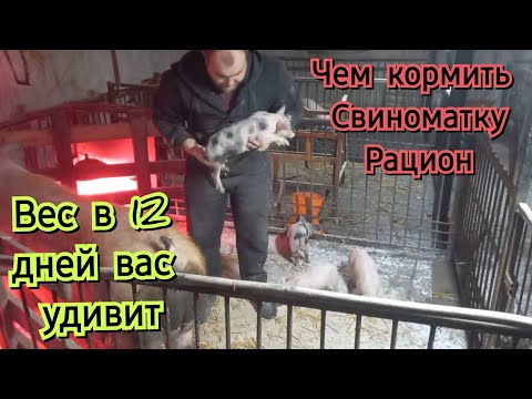 Видео: 👎ЗАЧЕМ ВАМ ПРЕМИКСЫ❗️Они вам не нужны❗️ Без химикатов всё хорошо