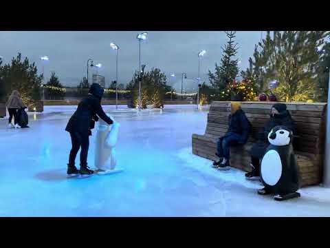 Видео: Самый большой каток в мире - Каток у Флагштока. Обзор.