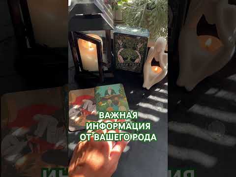 Видео: 🚨ВАЖНО ☝️ОТ ВАШЕГО РОДА#таро #live #духовность #таролог #tarot #род