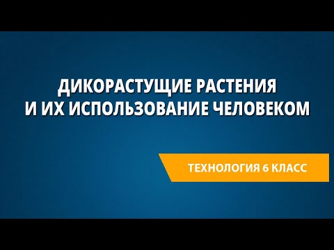 Видео: Дикорастущие растения и их использование человеком