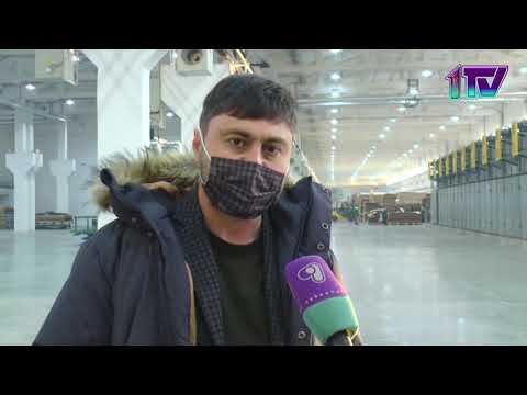 Видео: 8,1,21, В Петропавловске запустили фанерный комбинат