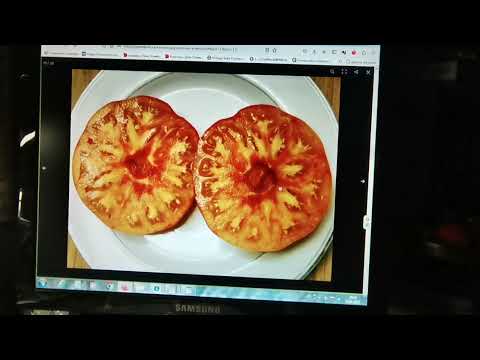 Видео: Посадите эти ТОМАТЫ в 2023 году! Они ПОЛЕЗНЫЕ и КРАСИВЫЕ БИКОЛОРЫ двухцветные помидоры