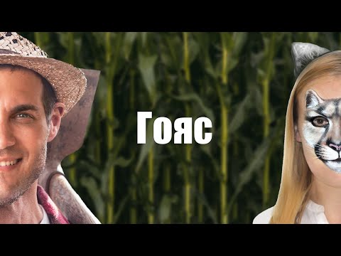 Видео: Самый интересный штат Бразилии - Гояс