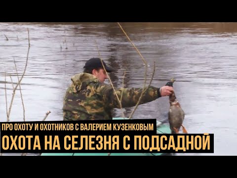 Видео: Охота на селезня с подсадной / Про охоту и охотников с Валерием Кузенковым. Сезон 1