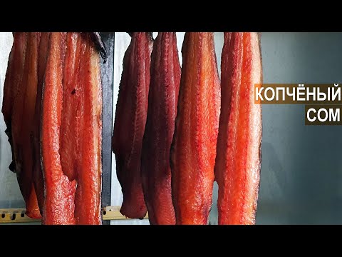 Видео: Копченый сом. Холодное копчение мраморного сома. Рыбная ферма Сом Сомыч.