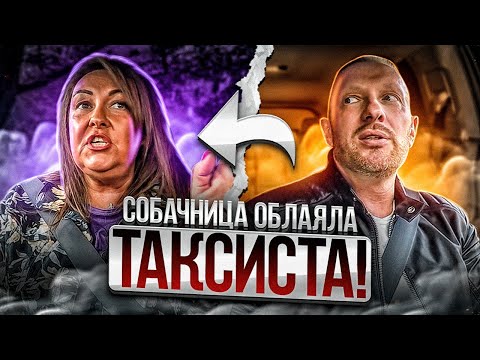Видео: Ушлая пассажирка не предупредила таксиста о собаке и ребенке