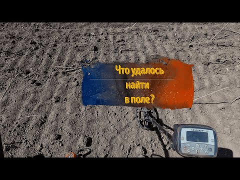 Видео: Что я нашел в поле?