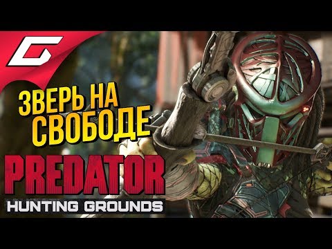 Видео: PREDATOR: Hunting Grounds ➤ ДИКИЙ сливной ХИЩНИК