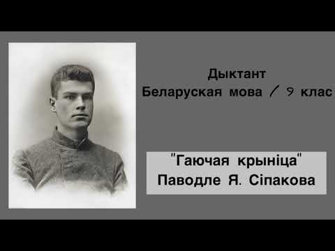 Видео: Дыктант / Гаючая крыніца / Беларуская мова 9 клас