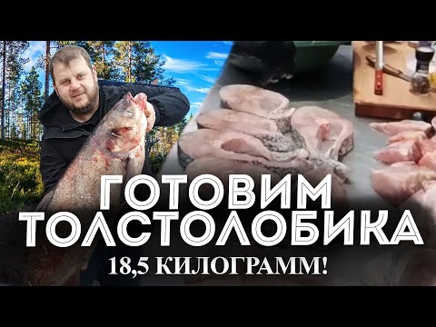Видео: ГОТОВИМ ТОЛСТОЛОБИКА - 18,5 КИЛОГРАММ!