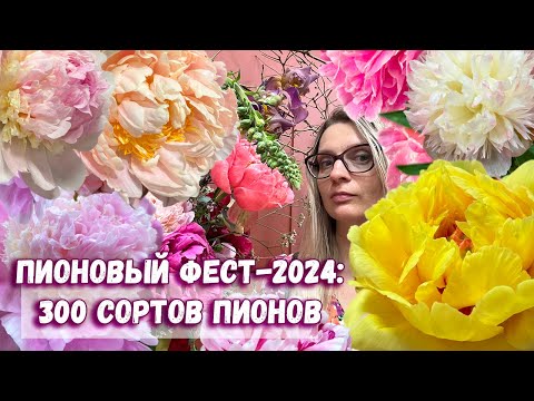 Видео: 300 сортов самых красивых пионов на выставке Пионовый фест-2024